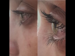 Verde Limón - Santa Cruz