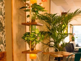 Completo brunch para 2 en el Puerto de la Cruz