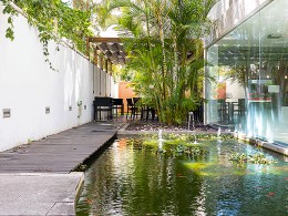 Jarana Gastroterraza - Santa Cruz 