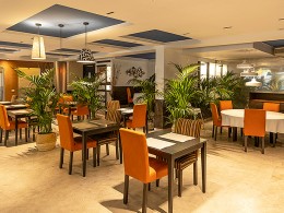 Jarana Gastroterraza - Santa Cruz 