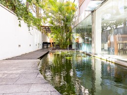 Jarana Gastroterraza - Santa Cruz 