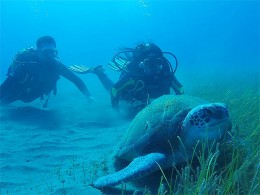 Thalassa Buceo - Los Abrigos