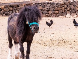 La Cueva Caprichosa - Barranco Grande