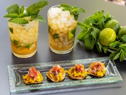 Jarana Gastroterraza - Santa Cruz 