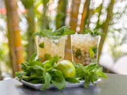 Jarana Gastroterraza - Santa Cruz 