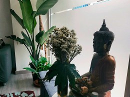 Vanesa Laino- Santa Cruz