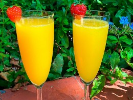 Café Orquídea - Puerto de la Cruz