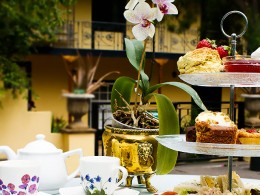 Café Orquídea - Puerto de la Cruz