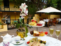 Café Orquídea - Puerto de la Cruz