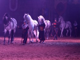 Castillo San Miguel - San Miguel de Abona