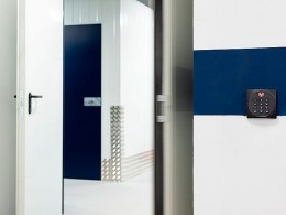 Masquetrasteros - Santa Cruz