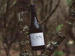 Bodegas Tajinaste - La Orotava