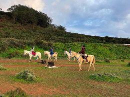 Centro Hípico Las Riendas - La Laguna