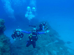 Squatina Sub - San Andrés