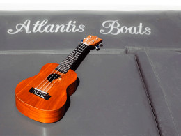 Atlantis Boats - Costa Adeje