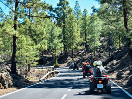 Jurassic Quad Tenerife - San Miguel
