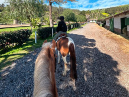 Club Hípico Nueva Atalaya - La Laguna