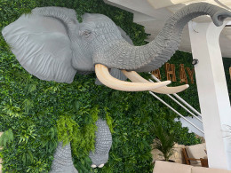 Mahaya Sunset Club - Costa Adeje