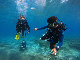 Deep Divers Center - Palm Mar