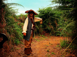 Guarida del Pirata - Los Realejos