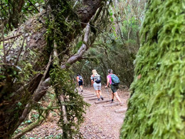 Senderismo con snack saludable + fotos ¡Una aventura en la naturaleza!