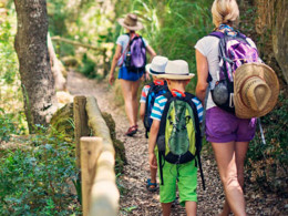 8 Mosquetones Adventure - Santa Cruz