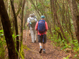 8 Mosquetones Adventure - Santa Cruz