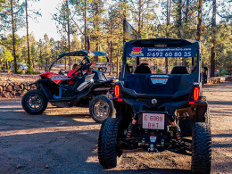 Top Buggy Adventure - Costa Adeje