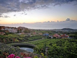 La Viña - La Orotava