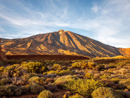 Jurassic Quad Tenerife - San Miguel