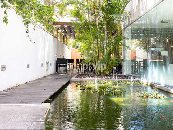 Jarana Gastroterraza - Santa Cruz 