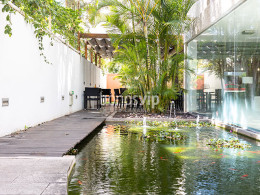 Jarana Gastroterraza - Santa Cruz 