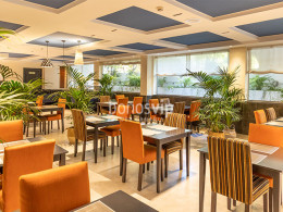 Jarana Gastroterraza - Santa Cruz 