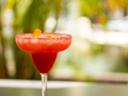 Jarana Gastroterraza - Santa Cruz 