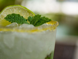 Jarana Gastroterraza - Santa Cruz 