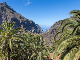 Restaurante La Fuente - Masca