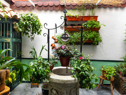 YerbaBuena House Bar - La Laguna