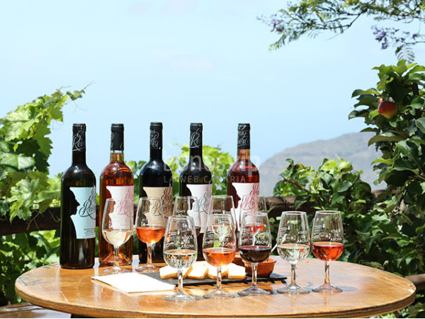 Bodegas Reverón - Vilaflor