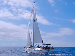 Arriro Boat Experience - Costa Adeje