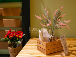 Cachitos Realfood - Santa Cruz