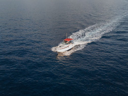 3 Horas de navegación privada Luxury con productos Gourmet y avistamiento de cetáceos