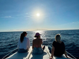 3 Horas de navegación privada Luxury con productos Gourmet y avistamiento de cetáceos