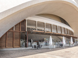 Taller de mándala con vino incluido + fotos ¡Conecta con tu creatividad!