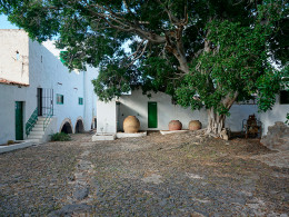 El mundo de Casa Fuerte - Adeje 