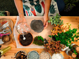 Tallitos Green - La Laguna