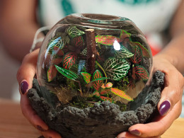 Tallitos Green - La Laguna