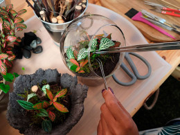 Tallitos Green - La Laguna