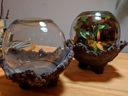 Tallitos Green - La Laguna