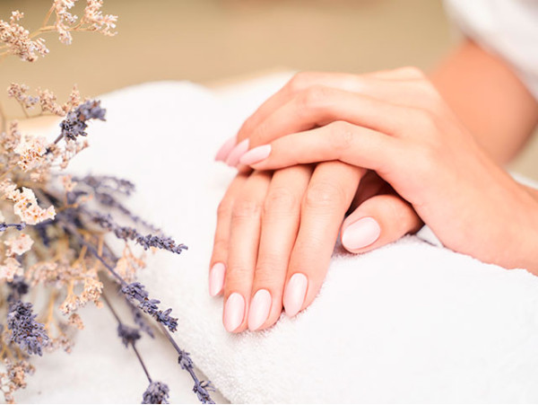 Beauty Body Soul By Paqui Candil - Santa Cruz