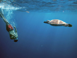 Mana Kayak - Los Cristianos